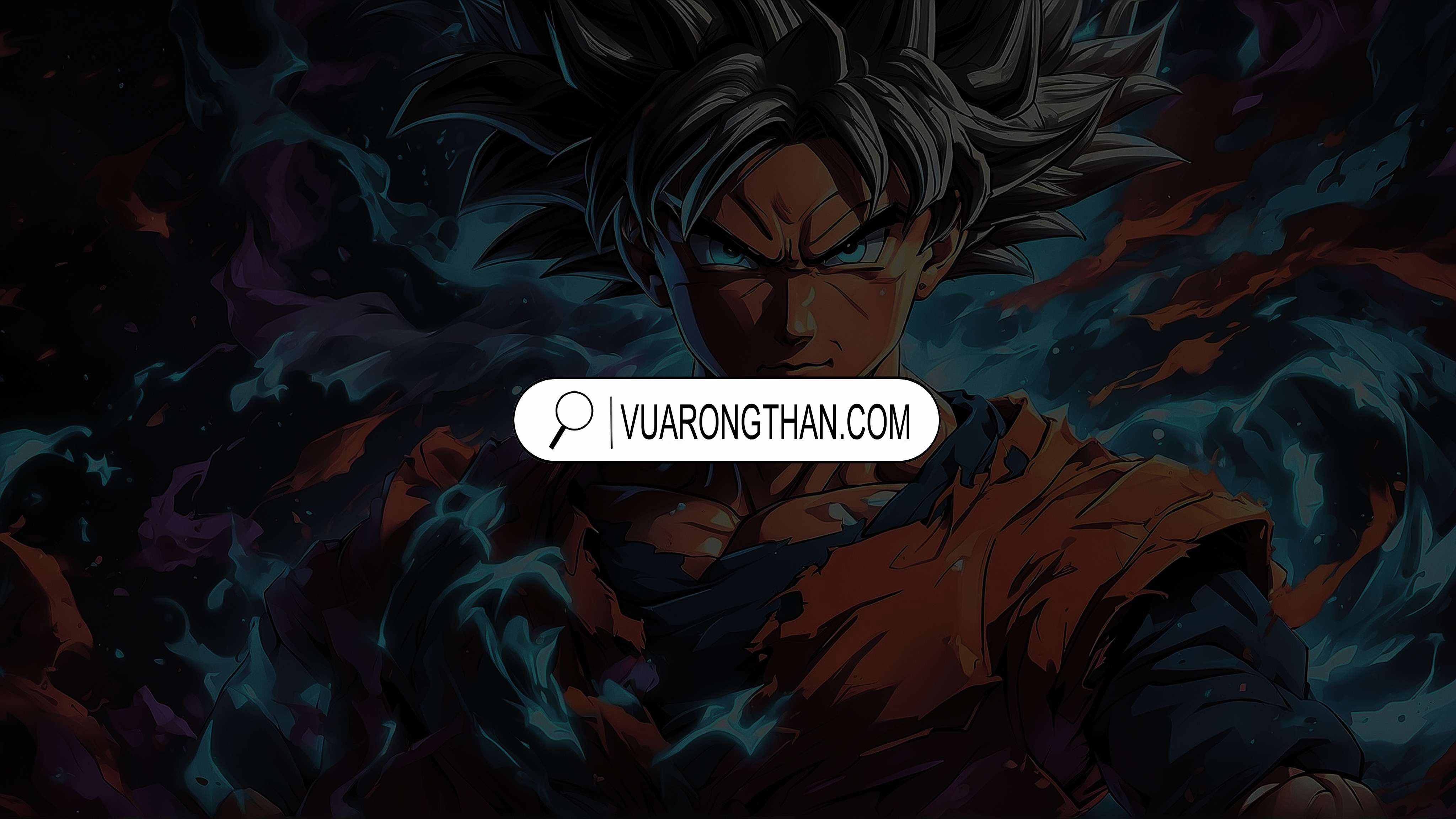  Hình ảnh trưng bày